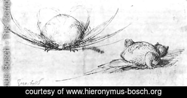 Hieronymous Bosch - Animal studies
